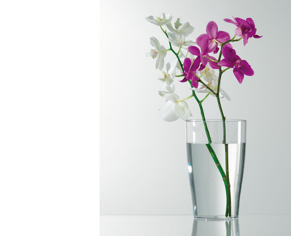Un vaso transparente para las orquídeas